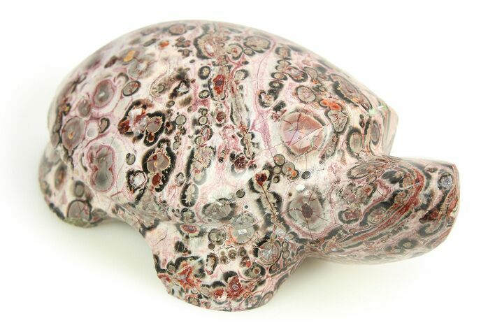 Carved Leopard Stone Turtle - Mexico #308290